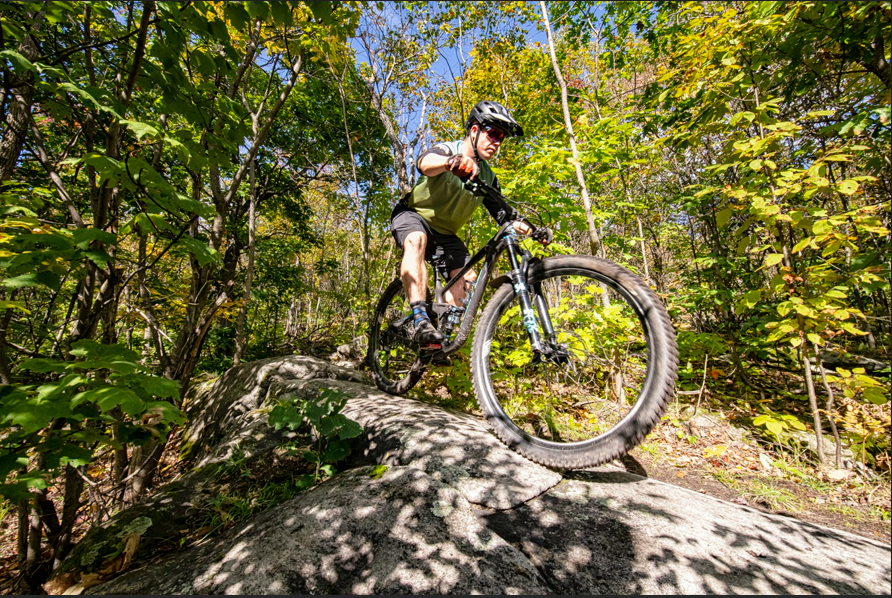 COME AND MOUNTAIN BIKE OUR WAY IN NORTH BAY