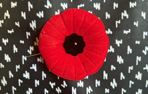 2024 remembrance day theme