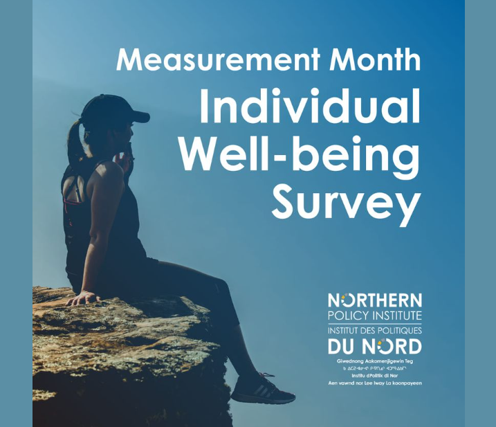 Individual Well-Being Survey