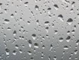Environment Canada has Issued a Rainfall Warning