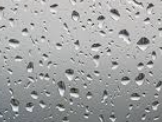 Environment Canada issues Rainfall Warning