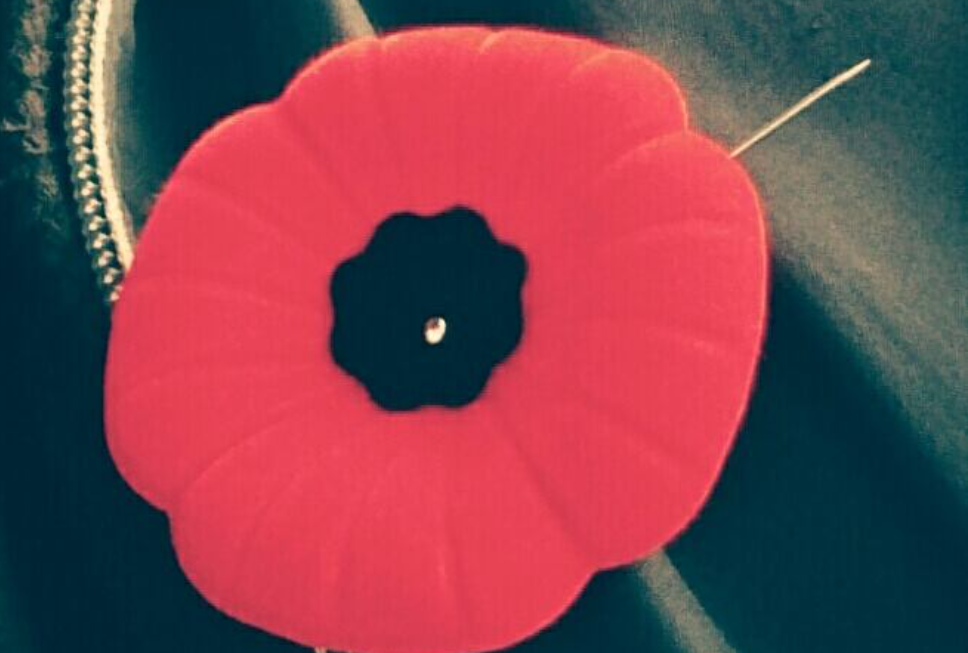 Poppy Campaign Underway