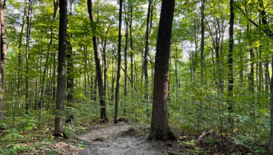 Improving Laurentian Escarpment Trails