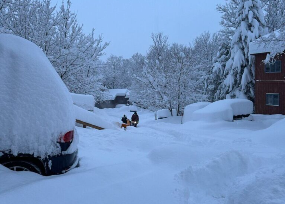 Digging Out