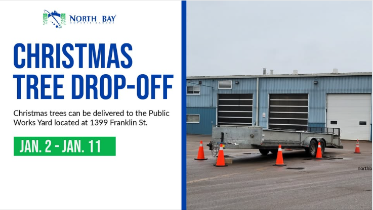 Free Christmas Tree Dropoff