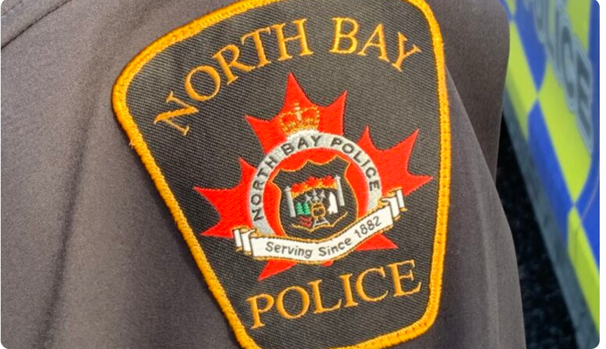 North Bay Man Charged with Vehicle Theft