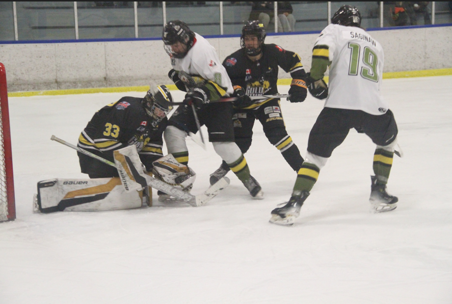 Gold Miners road win over Voodoos