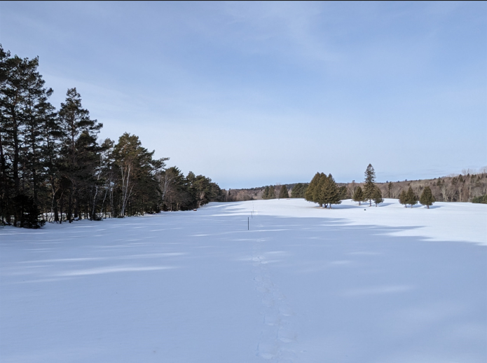 SNOW SURVEY READINGS