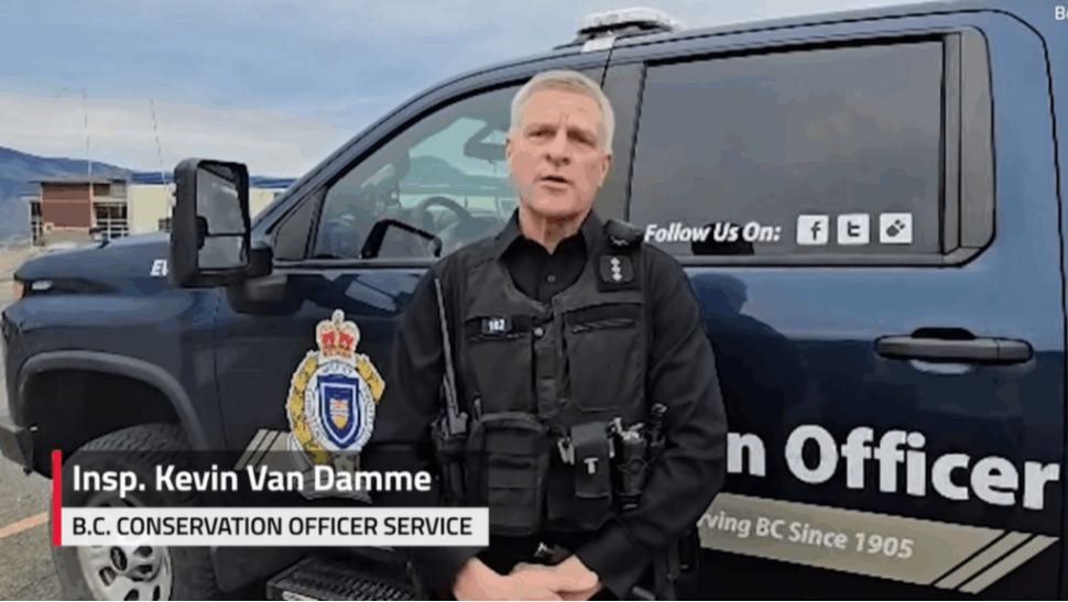 ‘They protected their students’: Teachers praised after Bella Coola bear attack