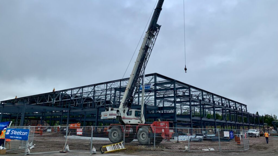 Protecting Tariff-Impacted Workers and Businesses