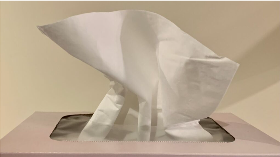 ‘Very high’ levels of flu reported by the health unit