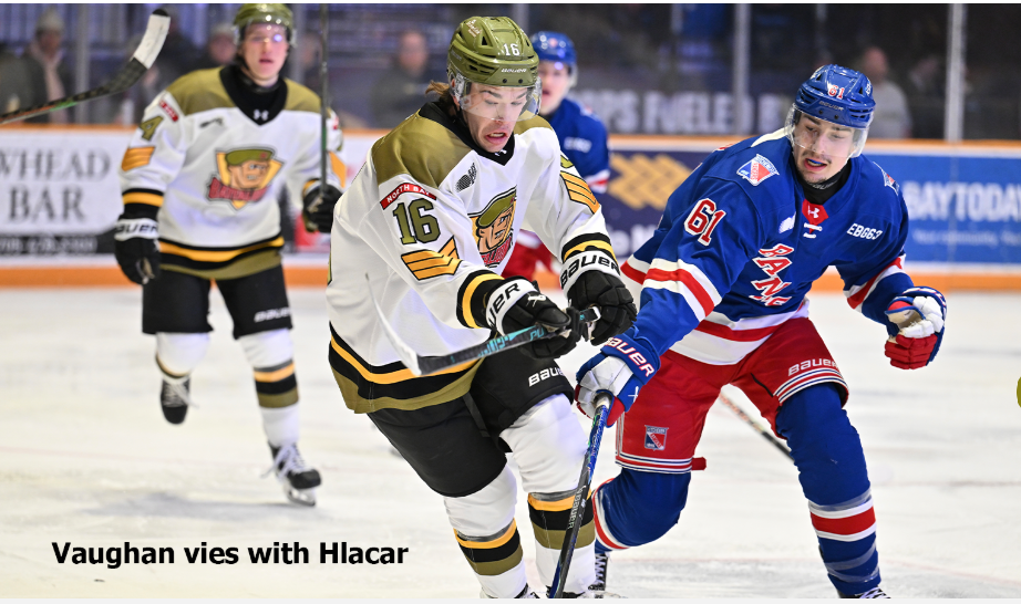 Kitchener celebrates win