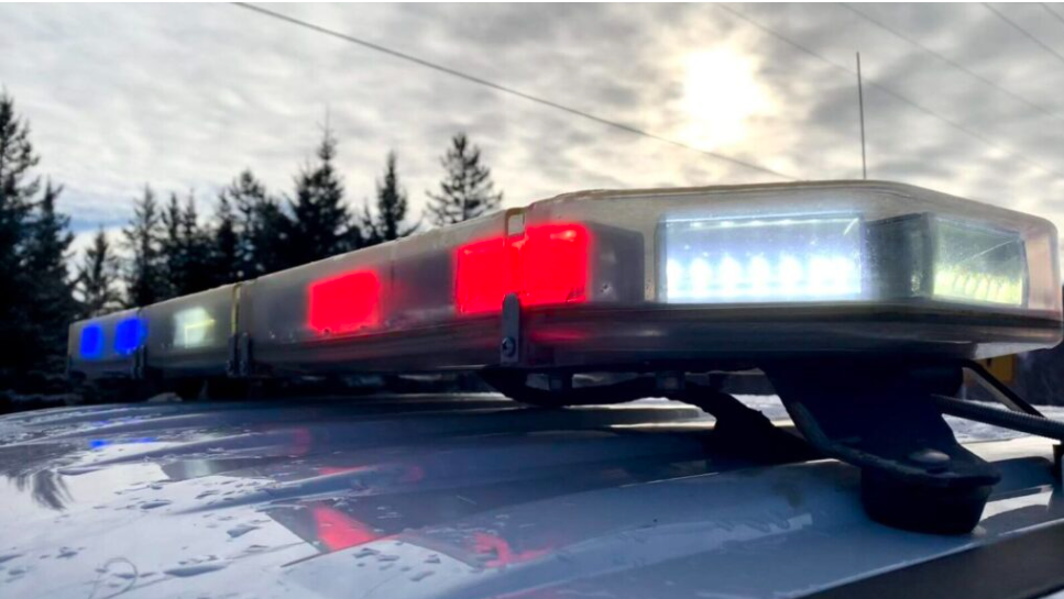 Man Arrested After Assaulting Police Officers During Wellness Check