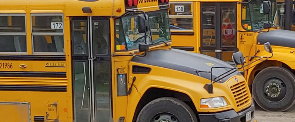 Labour dispute takes Alouette school buses off the road