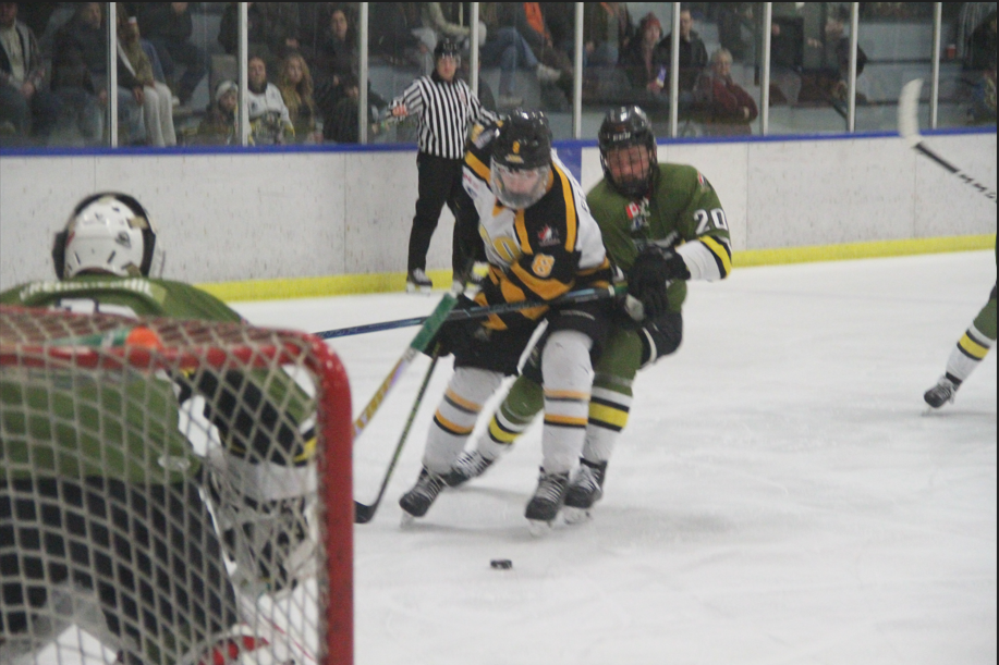 Eagles head home with 2-0 lead on Voodoos