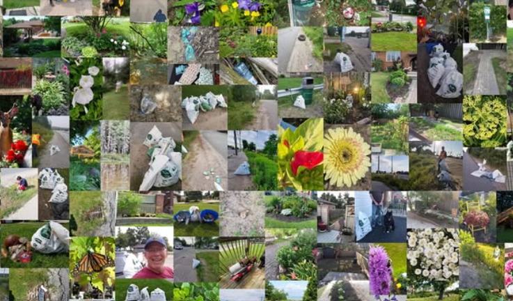 Celebrate Earth Week 2026