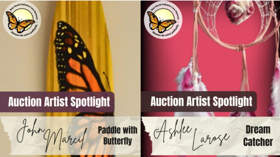 Inaugural art auction supporting palliative care locally