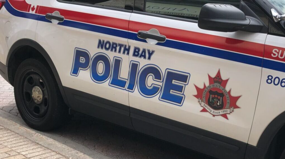 North Bay Man Arrested in Animal Cruelty Investigation