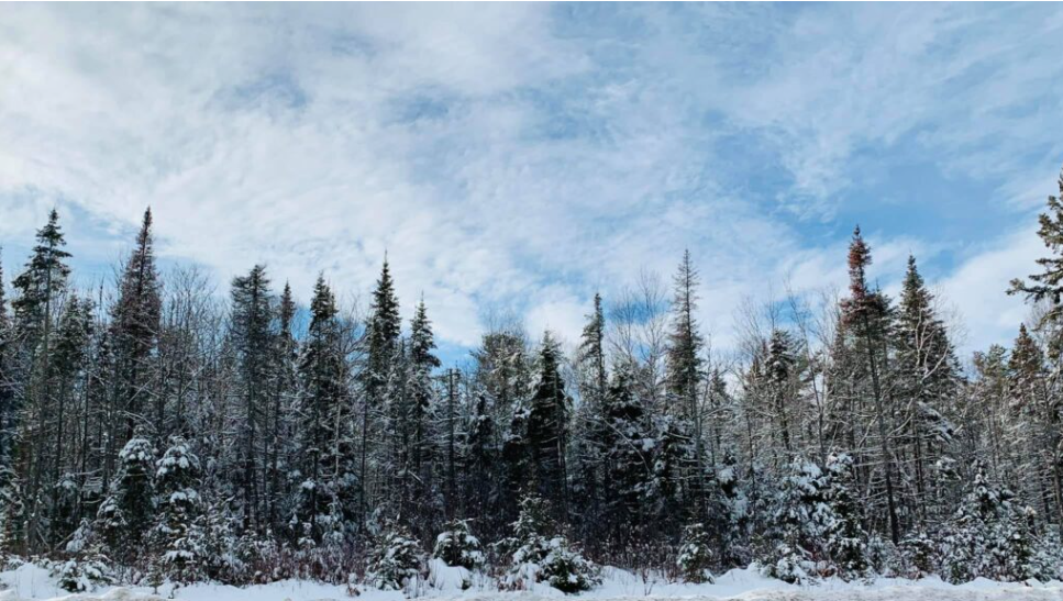 Ontario Unveils Proposed Route for Northern Shield Energy Corridor