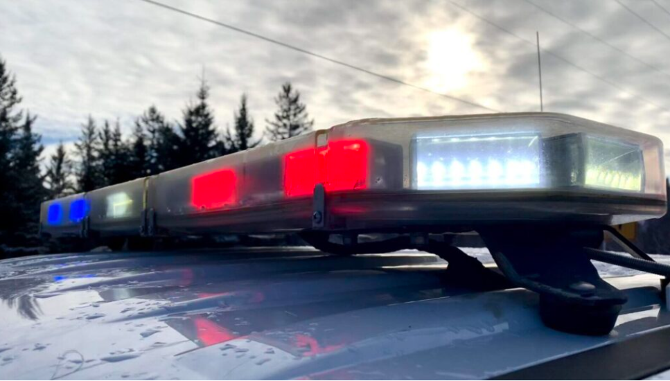 Bear Spray Discharged During Altercation; One Arrested