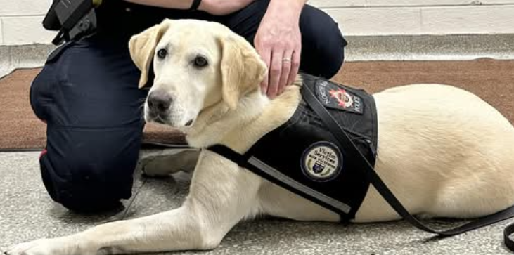Rotary Funding for Trauma Support Dog Program