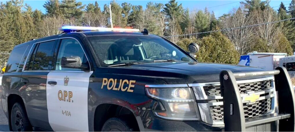 74-year-old charged after fleeing from police