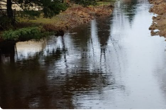 Ontario Taking Next Steps to Improve Conservation Authorities