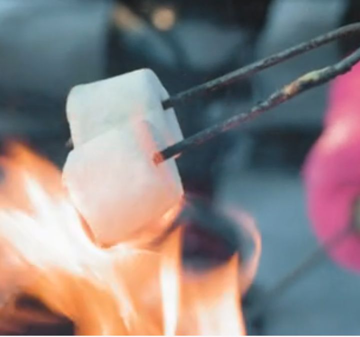 Fun Events This Holiday!