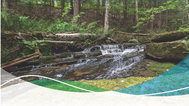 We Score Well on the Report Card