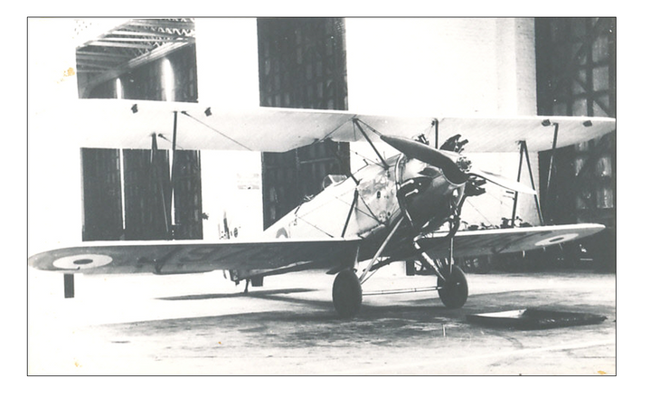 The Hawker Tomtit