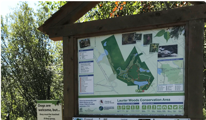 Nature festival taking place at Laurier Woods Saturday