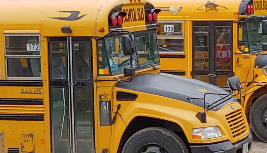 Drivers urged to Stop for the School Bus