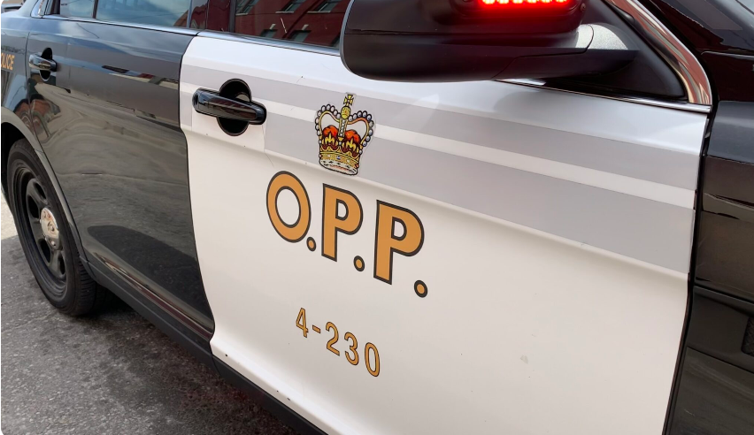 OPP conducting community satisfaction surveys