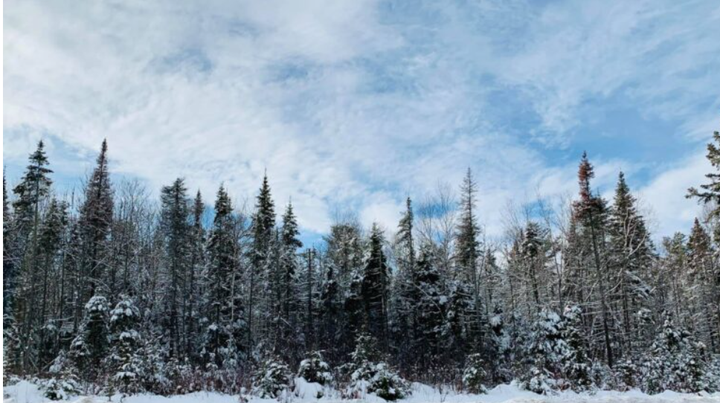 Flood Outlook issued by North Bay MNR