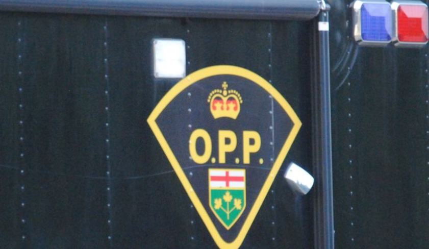 Heavy Police presence overnight in Papineau-Cameron