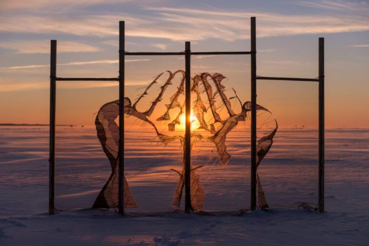 Ice Follies in the New Year