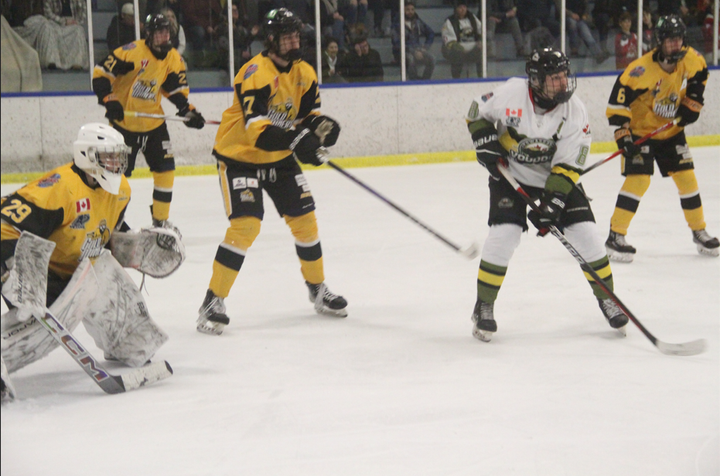 Voodoos win over Gold Miners