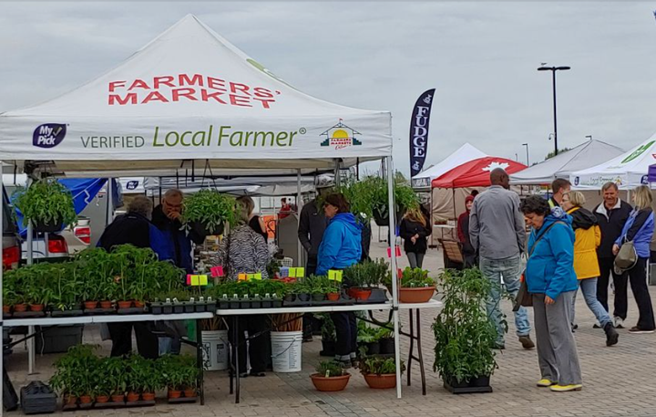Outdoor market season starts Saturday