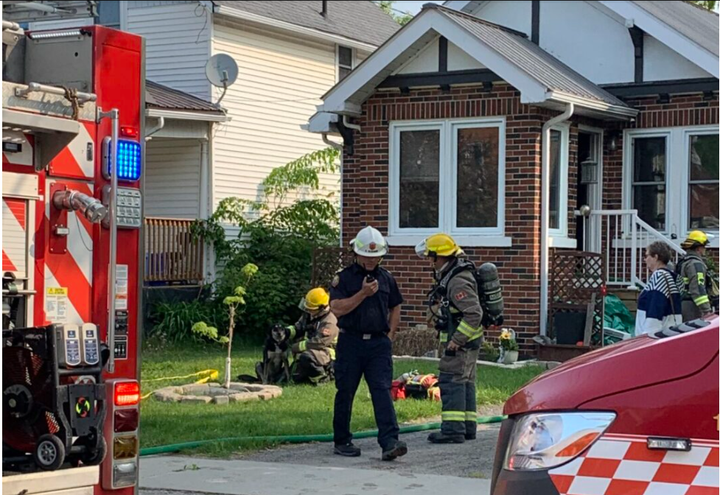 Dog given oxygen after Main West Fire