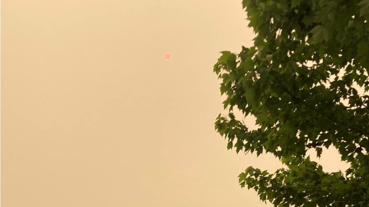 Air quality statement issued because of forest fire smoke