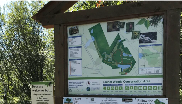 Celebrating Nature in Laurier Woods this weekend