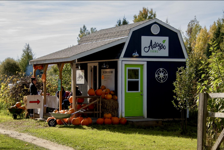Celebrate Autumn at the 5th Annual Pumpkin Tour in Powassan