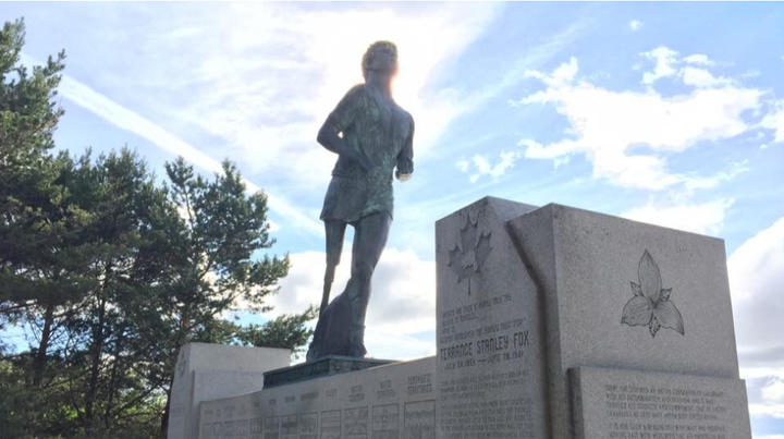 Several area Terry Fox school runs lined up