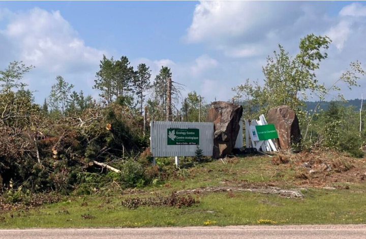 CEC facing ‘real financial crisis’