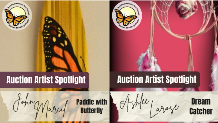 Inaugural art auction supporting palliative care locally