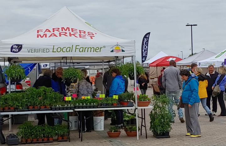 Countdown on to outdoor market season