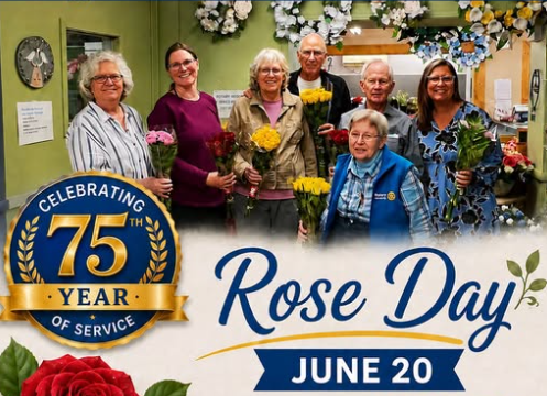 Rotary Rose Day is back again for the 75th year