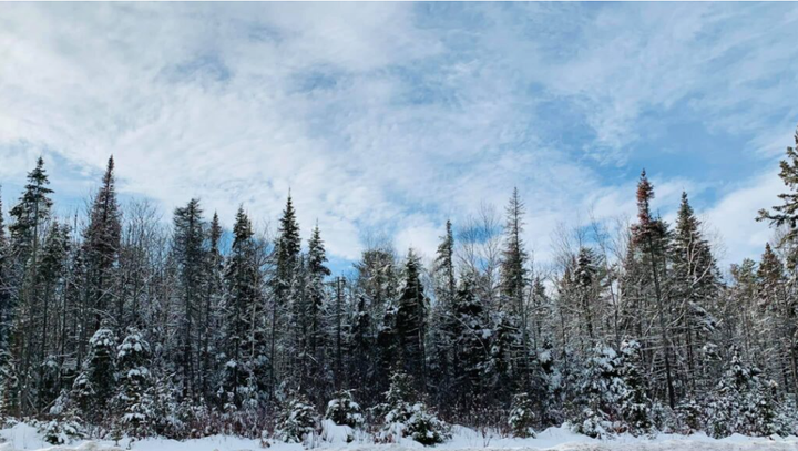 Ontario Unveils Proposed Route for Northern Shield Energy Corridor