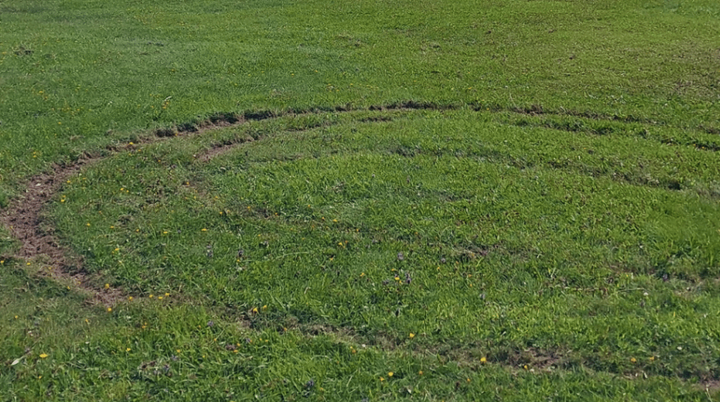 Charges filed after UTV donuts and roll over